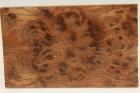 Plaquettes pour la coutellerie, Ronce de Thuya du Maroc, ref:PLpTM70323