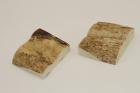 Mitres, dfense de phacochre, ref:MPHACO70467
