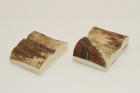 Mitres, dfense de phacochre, ref:MPHACO70589