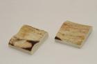 Mitres, dfense de phacochre, ref:MPHACO70591