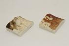 Mitres, dfense de phacochre, ref:MPHACO70596