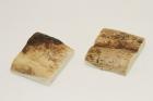 Mitres, dfense de phacochre, ref:MPHACO70594