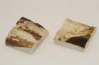 Mitres, dfense de phacochre, ref:MPHACO70590