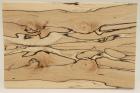 Plaquettes pour la coutellerie, Htre chauff, ref:PCHef70737