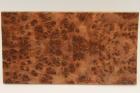 Plaquettes pour la coutellerie, Ronce de Thuya du Maroc, ref:PLpTM70799