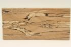 Plaquettes pour la coutellerie, Htre chauff, ref:PCHef71014