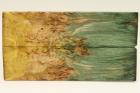 Plaquettes pour la coutellerie, Bouleau de Carlie stabilis multicolore, ref:PBMs71123mu