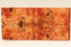 Plaquettes pour la coutellerie, Loupe de Peuplier stabilis orange, ref:PLpPEs71233o
