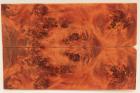 Plaquettes pour la coutellerie, Loupe de Peuplier stabilis orange, ref:PLpPEs71236o