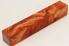 Carrelet  stylo, Peuplier stabilis orange, ref:SLpPEs71244o