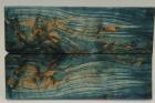 Plaquettes pour la coutellerie, Bouleau de Carlie stabilis bleu, ref:PBMs71288b