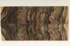 Plaquettes pour la coutellerie, Ziricote, ref:PZI71334