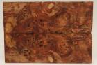 Plaquettes pour la coutellerie, Loupe de Peuplier stabilise marron, ref:PLpPEs71567ma