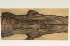 Plaquettes pour la coutellerie, Ziricote, ref:PZI72270