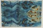 Plaquettes pour la coutellerie, Loupe de Peuplier stabilis�e bleue, ref:PLpPEs72597b