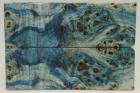 Plaquettes pour la coutellerie, Loupe de Peuplier stabilis�e bleue, ref:PLpPEs72596b