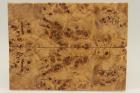 Plaquettes pour la coutellerie, Loupe de Peuplier stabilis� naturel, ref:PLpPEs74213na