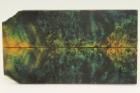 Plaquettes pour la coutellerie, Loupe de Peuplier stabilis�e multicolore, ref:PLpPEs74244mu