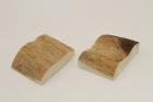 Mitres, d�fense de phacoch�re, ref:MPHACO74345