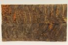Plaquettes pour la coutellerie, corne de b�lier, ref:PBLR74490