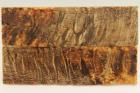 Plaquettes pour la coutellerie, corne de b�lier, ref:PBLR74492