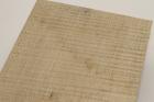 Grand format, plaque Erable sycomore ond�, ref:GFPESO74523