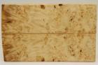 Plaquettes pour la coutellerie, Loupe d'Erable N�gundo stabilis� naturel, ref:PLpErs74550na