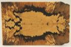 Plaquettes pour la coutellerie, H�tre �chauff� stabilis� naturel, ref:PHs74651na