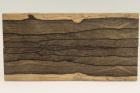 Plaquettes pour la coutellerie, Ziricote, ref:PZI74714