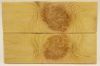 Plaquettes pour la coutellerie, Loupe d'acacia, ref:PLpAc74843