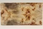 Plaquettes pour la coutellerie, Loupe de Peuplier stabilis� naturel, ref:PLpPEs74991na