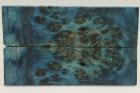 Plaquettes pour la coutellerie, Loupe de Peuplier stabilis�e bleue, ref:PLpPEs75011b