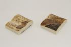 Mitres, d�fense de phacoch�re, ref:MPHACO75029