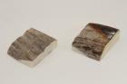 Mitres, d�fense de phacoch�re, ref:MPHACO75031