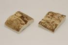 Mitres, d�fense de phacoch�re, ref:MPHACO75036