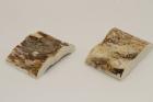 Mitres, d�fense de phacoch�re, ref:MPHACO75038