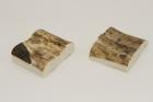 Mitres, d�fense de phacoch�re, ref:MPHACO75039