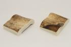 Mitres, d�fense de phacoch�re, ref:MPHACO75040