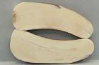 Plaquettes pour la coutellerie, d�fense de phacoch�re, ref:PPHACO75112