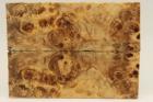 Plaquettes pour la coutellerie, Loupe de Peuplier stabilis� naturel, ref:PLpPEs75434na