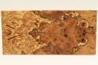 Plaquettes pour la coutellerie, loupe de H�tre, ref:PCHef75813
