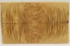 Plaquettes pour la coutellerie, Loupe d'acacia, ref:PLpAc75849