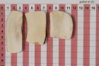Z-Plaquettes pour la coutellerie, d�fense de phacoch�re, lot,  ref:PPHACO75968