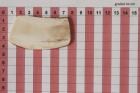 Z-Plaquette pour la coutellerie, d�fense de phacoch�re, ref:PPHACO75967