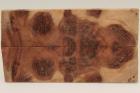 Plaquettes pour la coutellerie, loupe de Red mall�e, ref:PLpRM75978