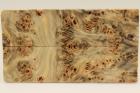 Plaquettes pour la coutellerie, Loupe de Peuplier stabilis� naturel, ref:PLpPEs76120na