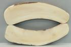 Plaquettes pour la coutellerie, d�fense de phacoch�re, ref:PPHACO76128