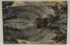 Plaquettes pour la coutellerie, Loupe de Peuplier stabilis�e noire, ref:PLpPEs76229nr