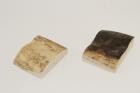 Mitres, d�fense de phacoch�re, ref:MPHACO76431