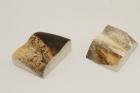 Mitres, d�fense de phacoch�re, ref:MPHACO76433